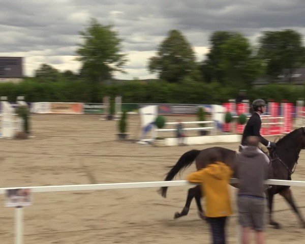 Reitturnier Fröndenberg 2024
