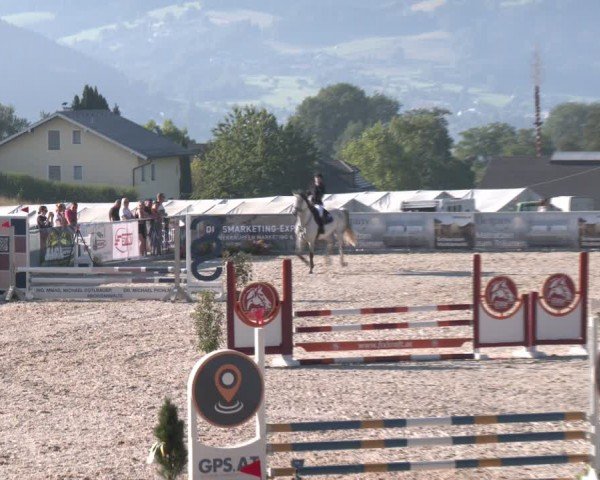 Springturnier Seewalchen 2024