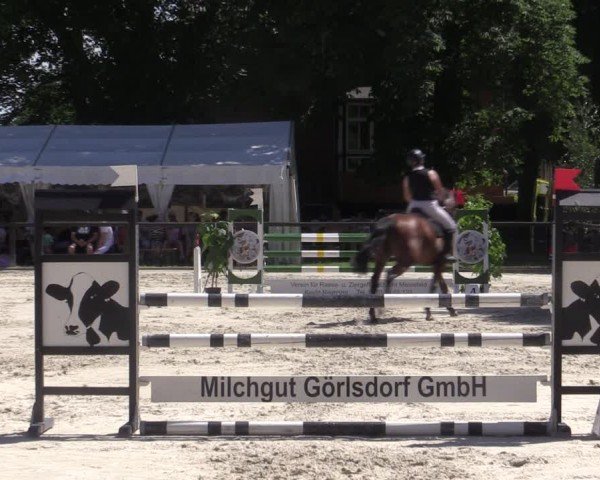 Reitturnier Görlsdorf 2024