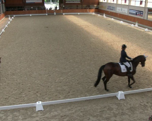 Reitturnier Delbrück-Ostenland 2024