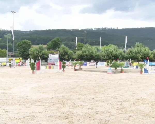 Reitturnier Balsthal 2024