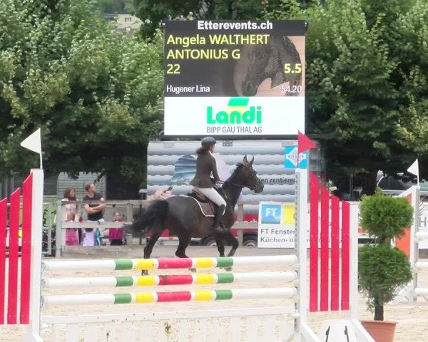 Reitturnier Balsthal 2024
