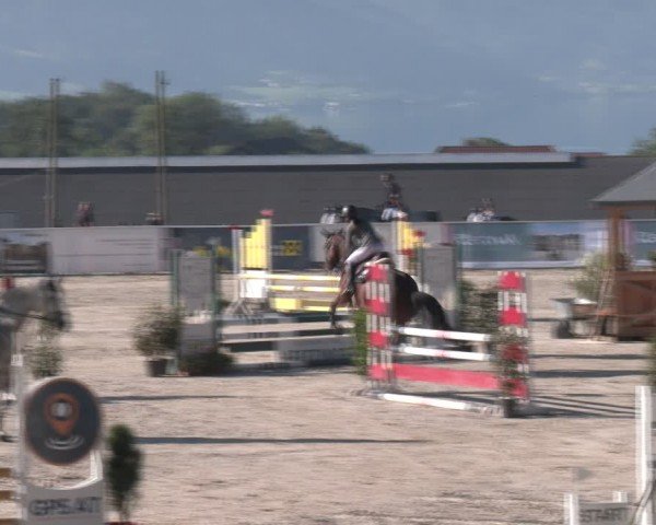 Springturnier Seewalchen 2024