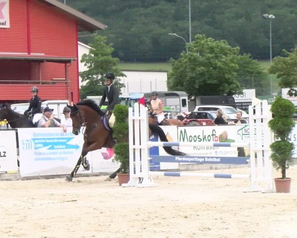 Reitturnier Balsthal 2024