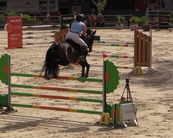 Reitturnier Uder, Reitanlage Kobold 2024