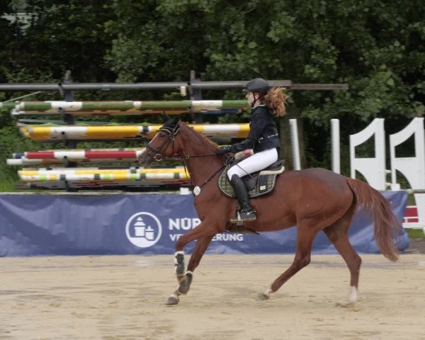 Reitturnier Heddesheim 2024