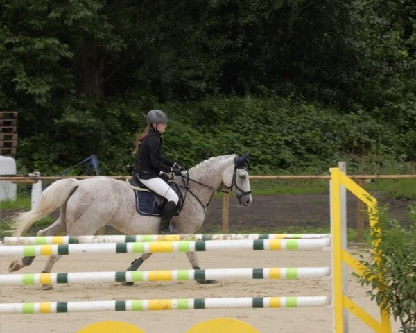 Reitturnier Heddesheim 2024