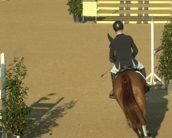 Reitturnier Böblingen 2021