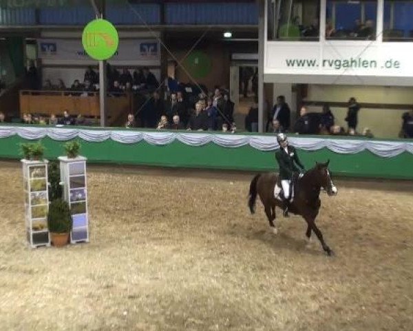 Hallenturnier Gahlen 04.-06.01.2013
