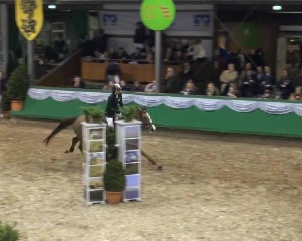 Hallenturnier Gahlen 04.-06.01.2013