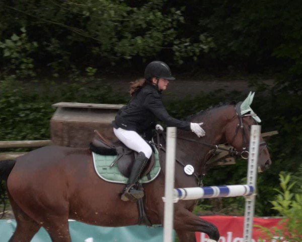 Reitturnier Heddesheim 2024