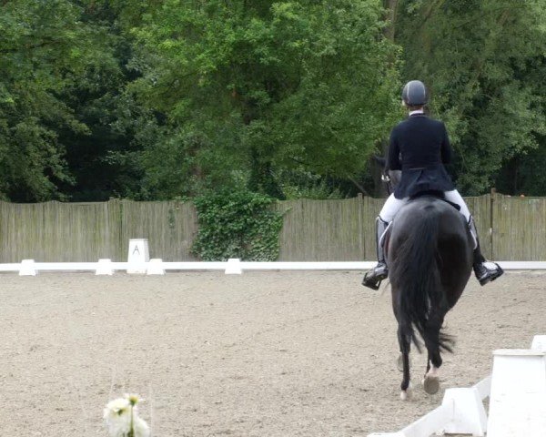 Reitturnier Heddesheim 2024