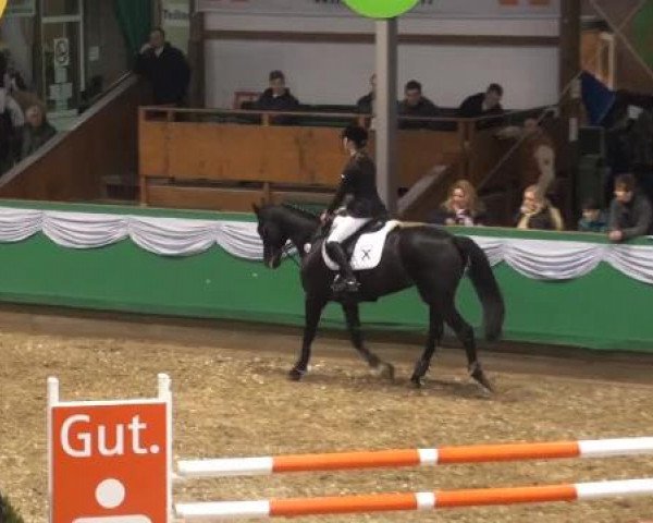 Hallenturnier Gahlen 04.-06.01.2013