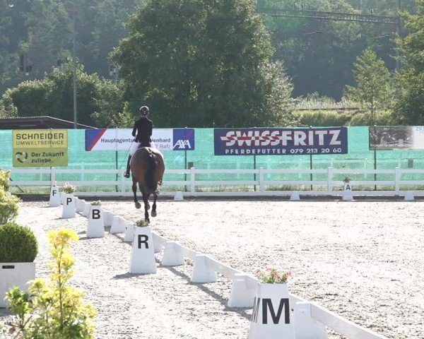 Reitturnier Hüntwangen 2024