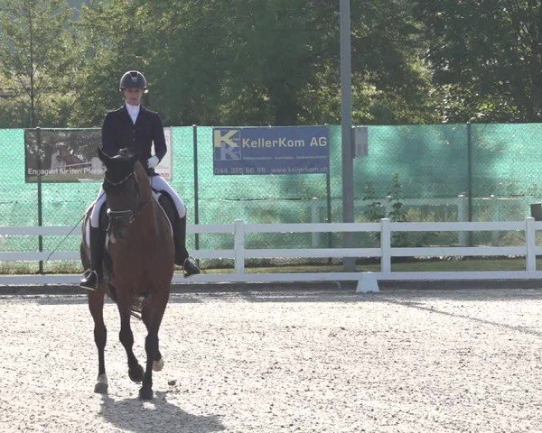 Reitturnier Hüntwangen 2024