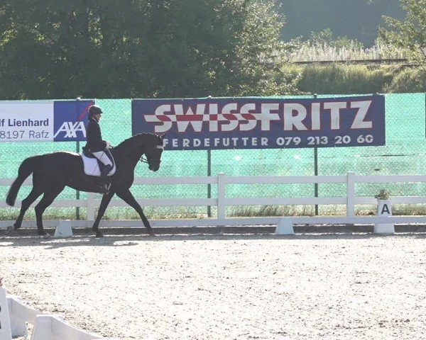 Reitturnier Hüntwangen 2024
