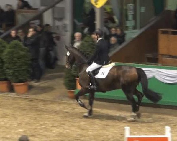 Hallenturnier Gahlen 04.-06.01.2013