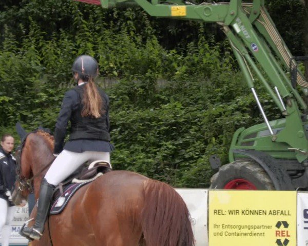 Reitturnier Heddesheim 2024