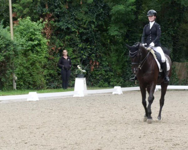 Reitturnier Heddesheim 2024