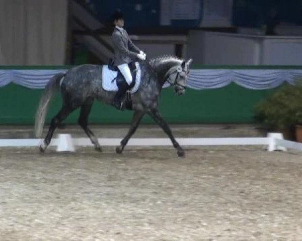Hallenturnier Gahlen 04.-06.01.2013