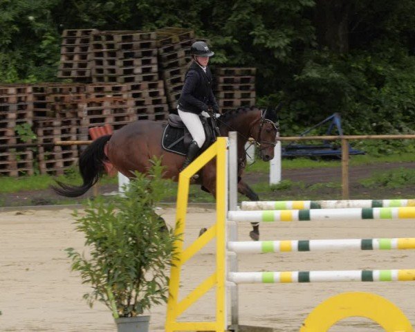 Reitturnier Heddesheim 2024