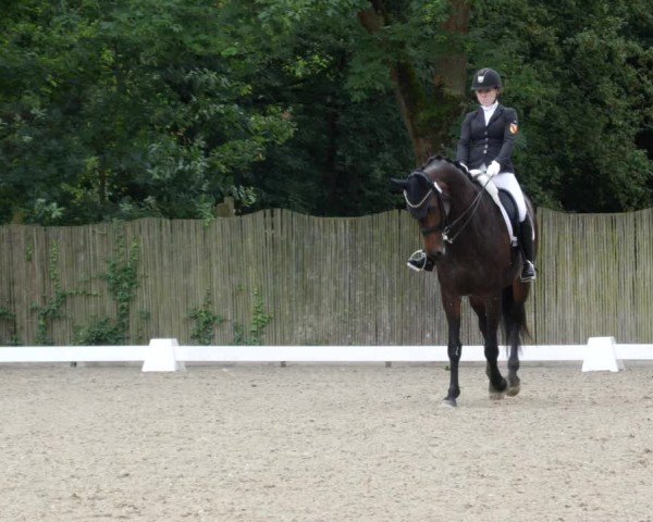 Reitturnier Heddesheim 2024
