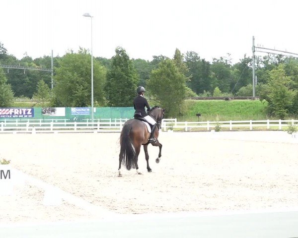 Reitturnier Hüntwangen 2024