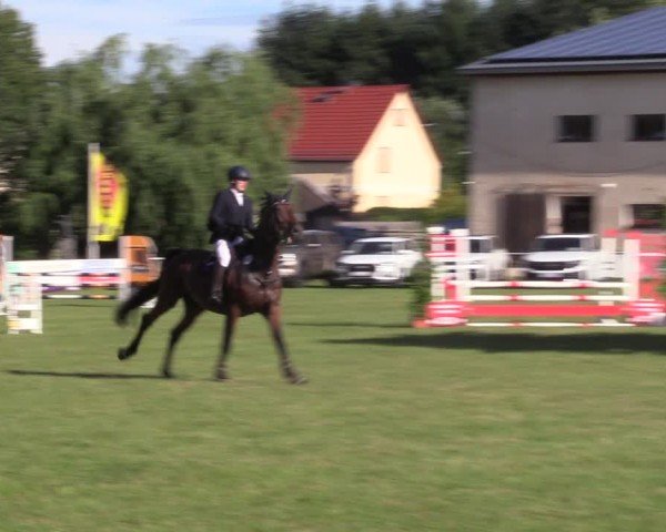Reitturnier Burgstädt 2024