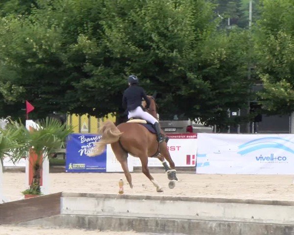 Reitturnier Balsthal 2024