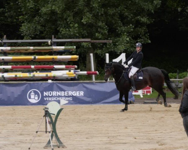 Reitturnier Heddesheim 2024