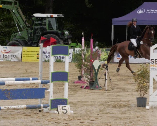 Reitturnier Heddesheim 2024