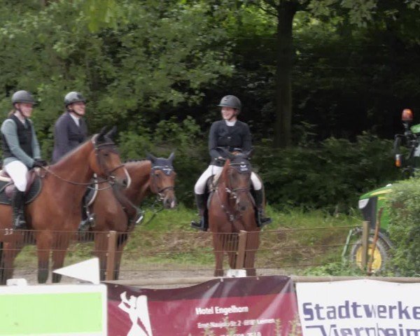 Reitturnier Heddesheim 2024