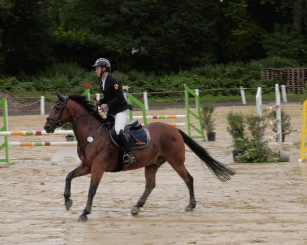 Reitturnier Heddesheim 2024