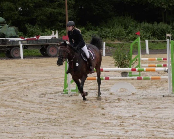 Reitturnier Heddesheim 2024