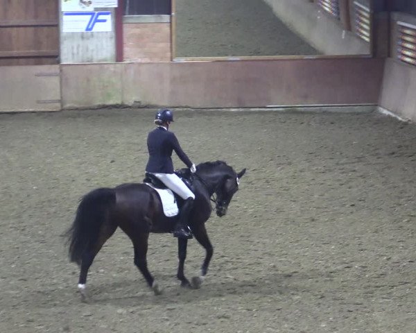 Reitturnier Herzebrock-Rheda 2021