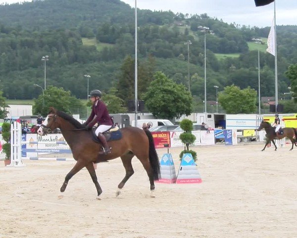 Reitturnier Balsthal 2024