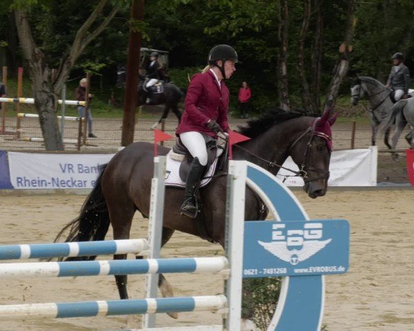 Reitturnier Heddesheim 2024