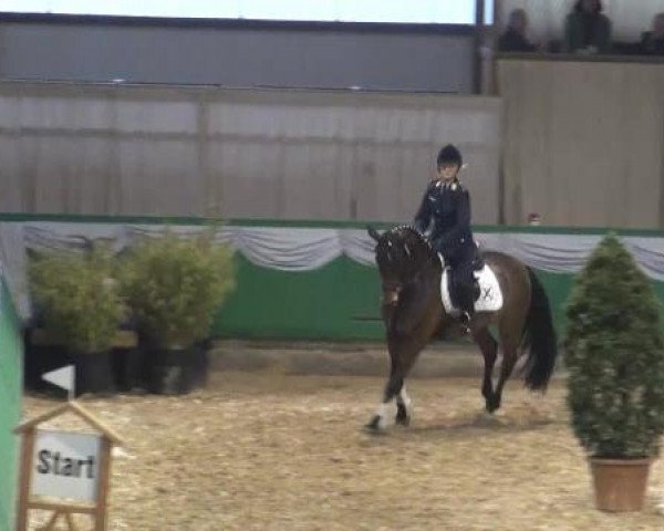 Hallenturnier Gahlen 04.-06.01.2013
