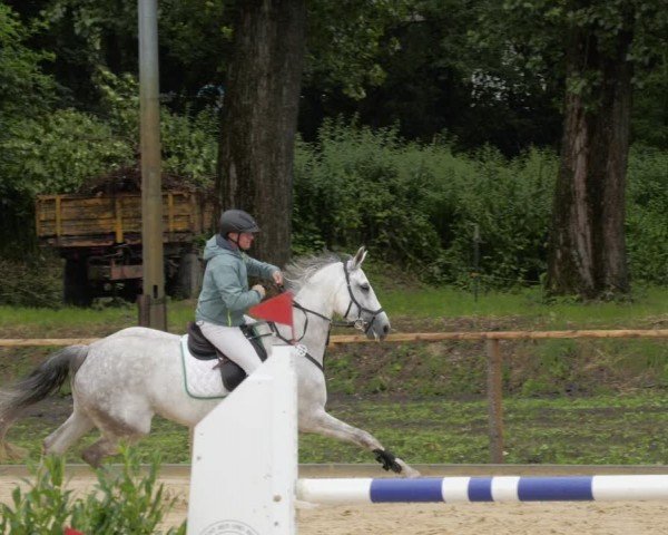 Reitturnier Heddesheim 2024