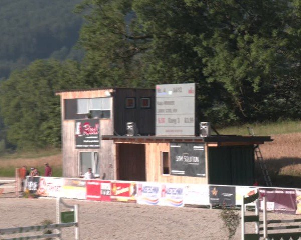 Springturnier Seewalchen 2024