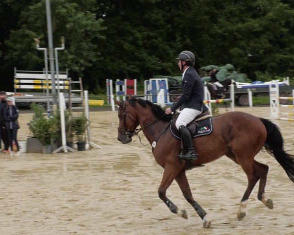 Reitturnier Heddesheim 2024