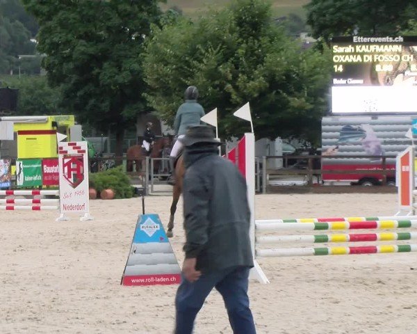 Reitturnier Balsthal 2024