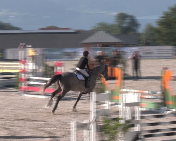 Springturnier Seewalchen 2024