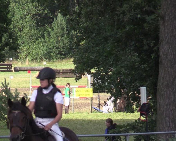Reitturnier Niederwerbig 2024