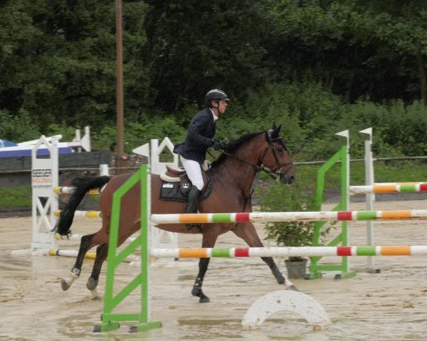 Reitturnier Heddesheim 2024