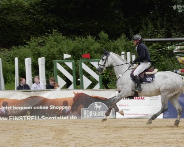 Reitturnier Heddesheim 2024
