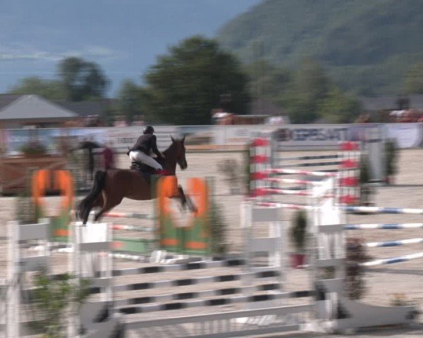 Springturnier Seewalchen 2024