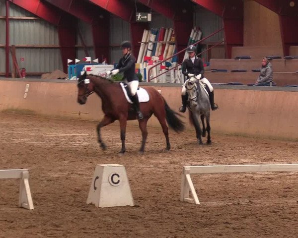Reitturnier Behrendorf 2021