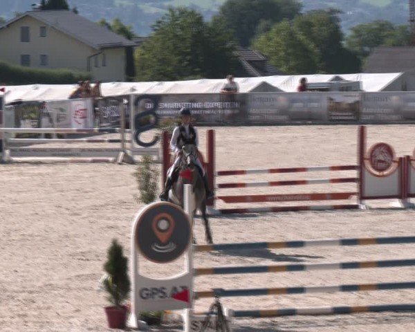 Springturnier Seewalchen 2024