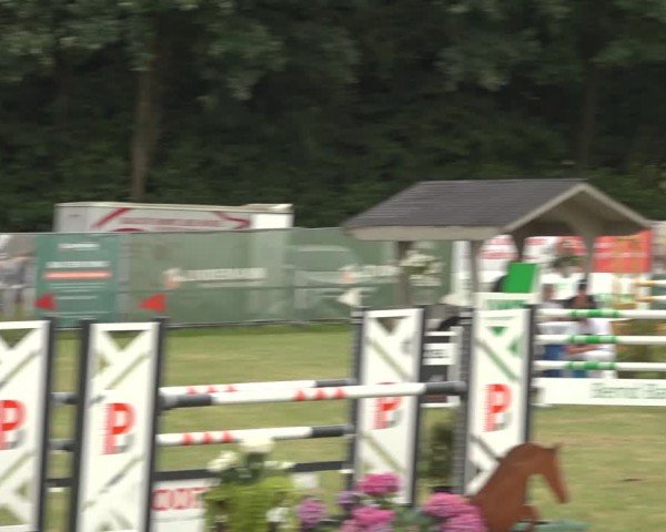 Reitturnier Wohlesbostel 2024